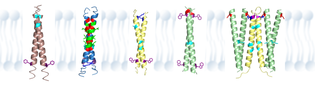 helix-helix interactions